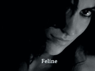 Feline