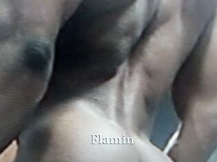 Flamin