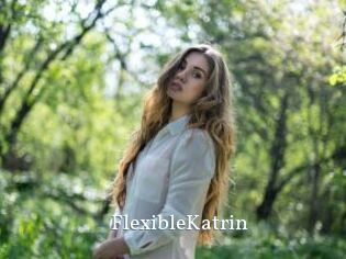 FlexibleKatrin