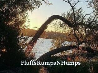 FluffsRumpsNHumps
