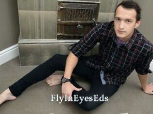 FlyInEyesEds