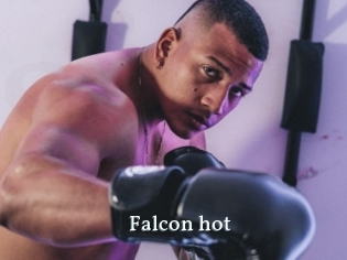 falcon_hot SexyIdol