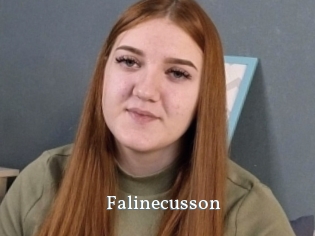 Falinecusson