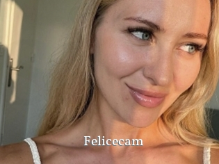Felicecam