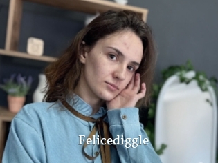 Felicediggle