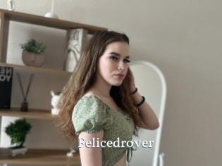 Felicedrover