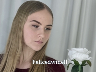 Felicedwinell
