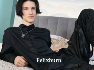 Felixburn