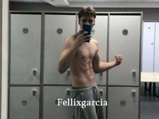 Fellixgarcia