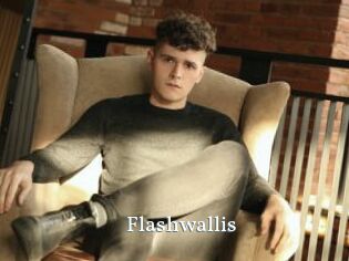 Flashwallis