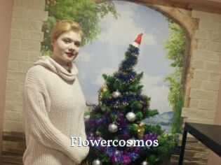 Flowercosmos