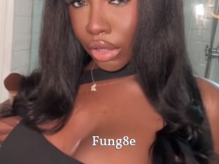 Fung8e