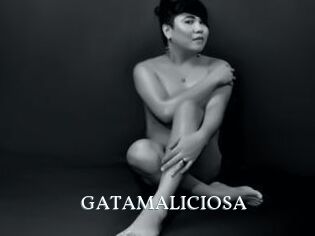GATAMALICIOSA