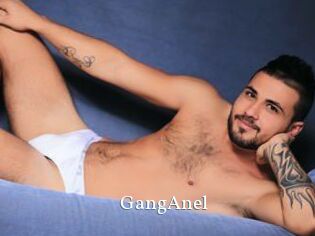 GangAnel