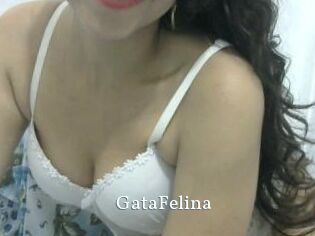 GataFelina