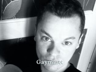 Gayminet