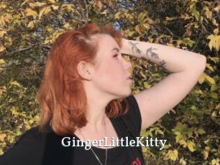 GingerLittleKitty