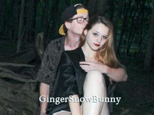 GingerSnowBunny