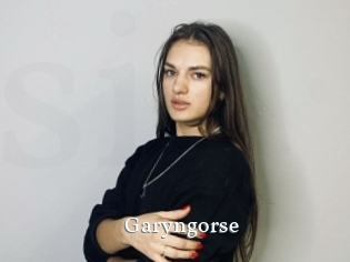 Garyngorse
