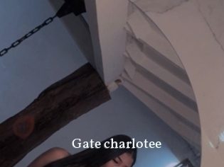 Gate_charlotee