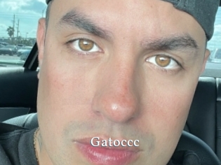 Gatoccc
