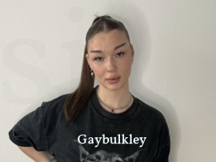 Gaybulkley
