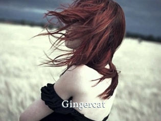 Gingercat