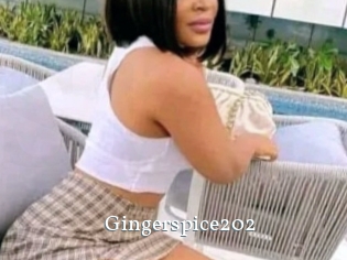Gingerspice202