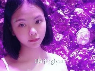 Haijingbao