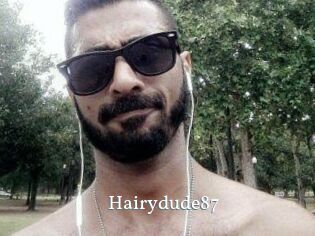 Hairydude87