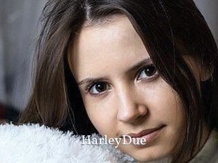 Harley_Due