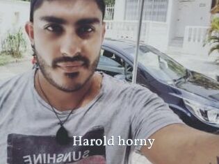Harold_horny