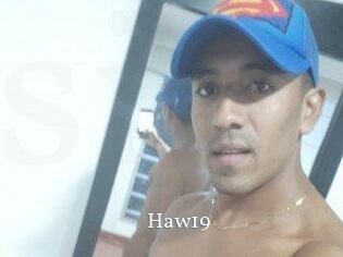Haw19