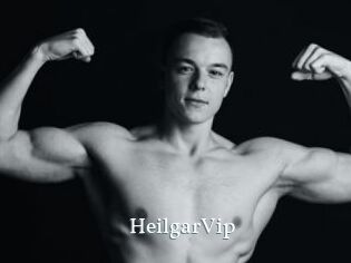 HeilgarVip