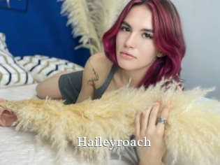 Haileyroach