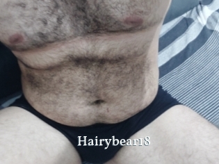 Hairybear18