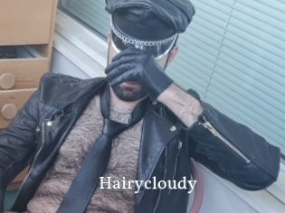 Hairycloudy
