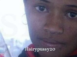 hairypussy20 SexyIdol