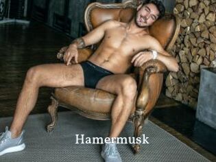 Hamermusk