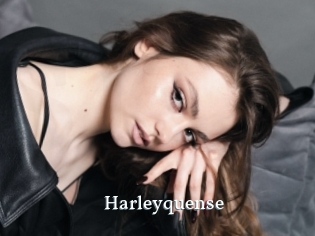 Harleyquense
