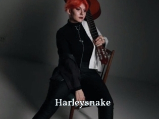 Harleysnake