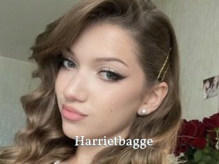 Harrietbagge