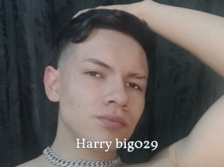 Harry_big029