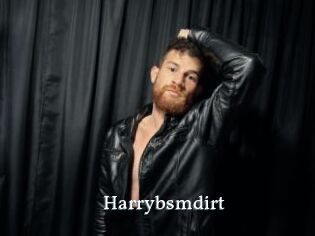 Harrybsmdirt