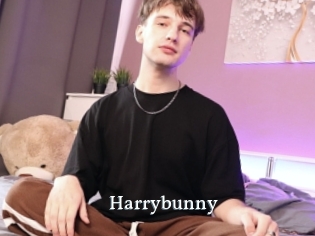 Harrybunny