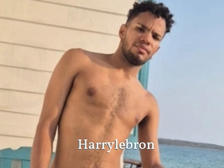 Harrylebron
