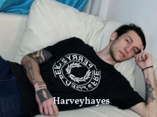 Harveyhayes