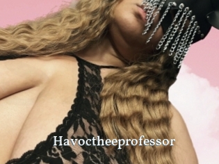 Havoctheeprofessor
