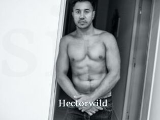 Hectorwild