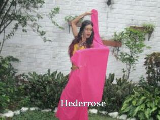 Hederrose